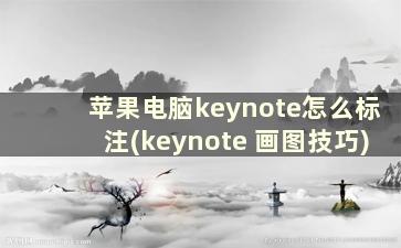 苹果电脑keynote怎么标注(keynote 画图技巧)